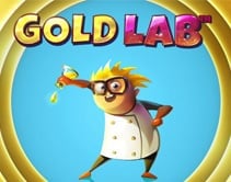 Gold Lab