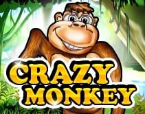 Crazy Monkey