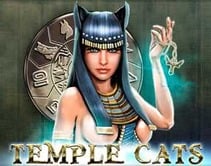 Temple Cats