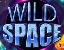 Wild Space