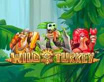 Wild Turkey