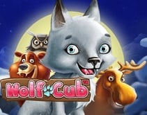 Wolf Cub