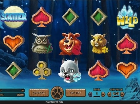 Scatter и Wild символы в онлайн слоте Wolf Cup