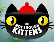 Not Enough Kittens