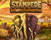 Stampede