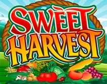 Sweet Harvest