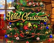 Wild Christmas